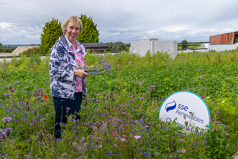 SSER Community Funds West Limerick North Kerry Image