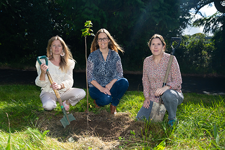 Coomatallin Case Study 3