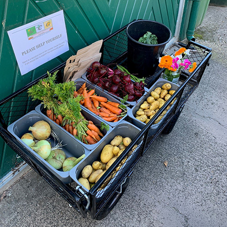 Kirkmichael Community Garden