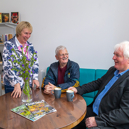 Limerick Case Study 3