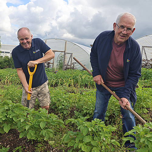 Corneen Case Study 3