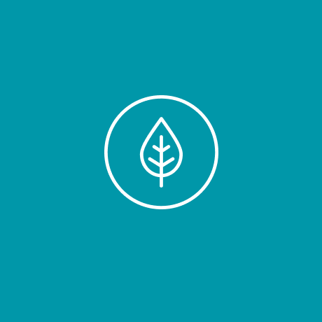 Renewables Sustainability Naturepositive Onshore Projects 6