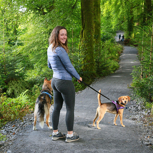 GWP MPF Case Study 3