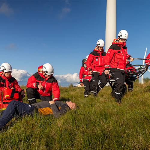 Meentycat Case Study