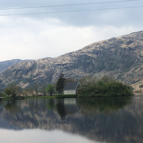 North Cork Case Study 3