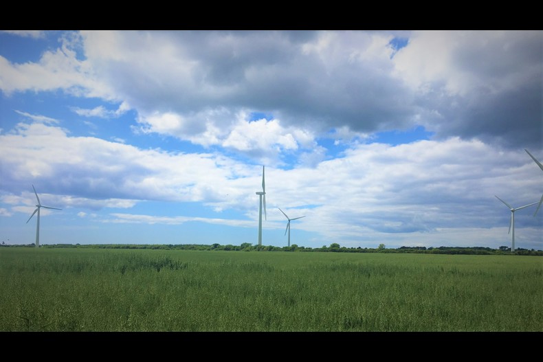 SSE Renewables Unveils First Solar Energy Co Location Project In Ireland’S ‘Sunny South East’ (1)