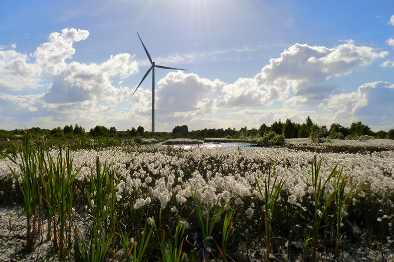 Mount Lucas Windfarm