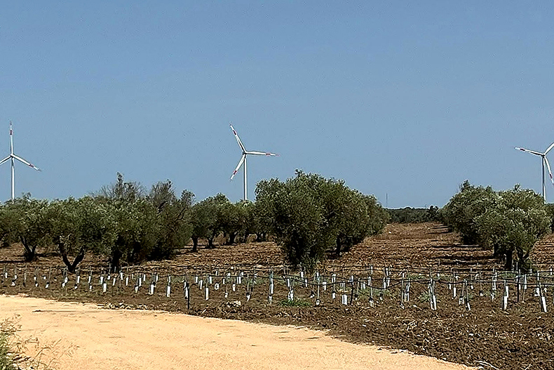 Castel Favorito And Masseria La Cattiva Wind Farm