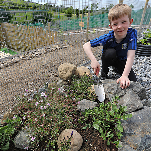 Cavan Monaghan Case Study 2